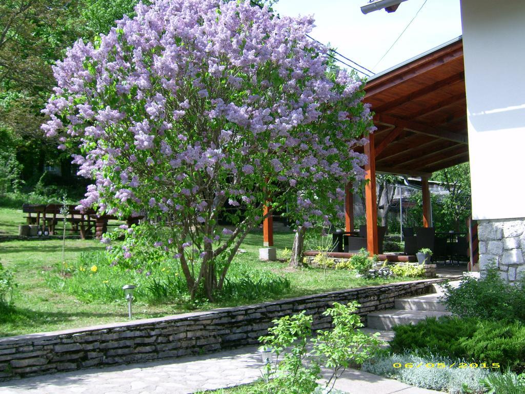 Vila Vuk Plitvička Jezera Exterior foto